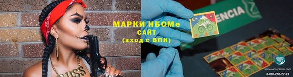 дживик Ельня