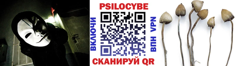 Купить закладки  Новоалександровск  Псилоцибиновые грибы прущие грибы 