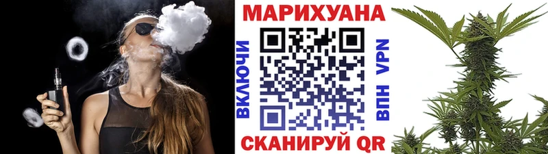 Шишки марихуана план Новоалександровск